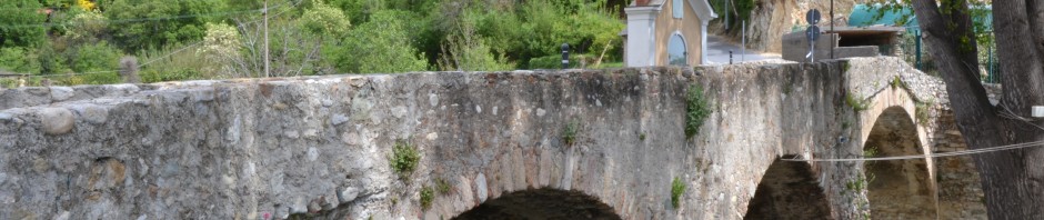 DSC_1905