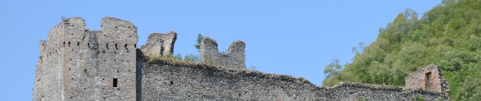 DSC_0554