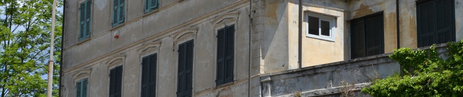 DSC_0558