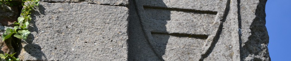 DSC_0238