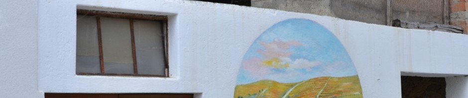 DSC_0497