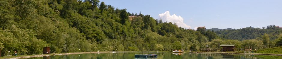 DSC_0552