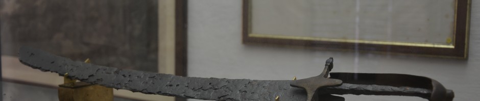 museo napoleonico