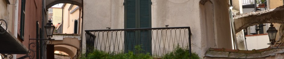 DSC_1913