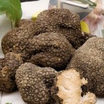 Tartufo Tartufo