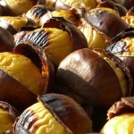 2931CASTAGNE 2931CASTAGNE