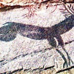 cervo cervo