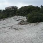 Un'Estate al Museo 2018 - Archeotrekking: Monte Cucco e le incisioni rupestri del Ciappo delle Conche Un'Estate al Museo 2018 - Archeotrekking: Monte Cucco e le incisioni rupestri del Ciappo delle Conche