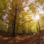 C:DCIM100GOPROGOPR2520.GPR C:DCIM100GOPROGOPR2520.GPR