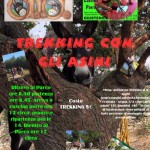 trekking-asinolla-cascinaporro-e1539599101120 trekking-asinolla-cascinaporro-e1539599101120