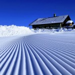 artesina_22112019-2 artesina_22112019-2