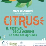 schermata-2019-01-25-alle-17-54-25 schermata-2019-01-25-alle-17-54-25