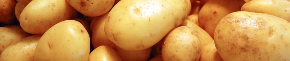 images_bacche_di_gioia_patate-1024x768