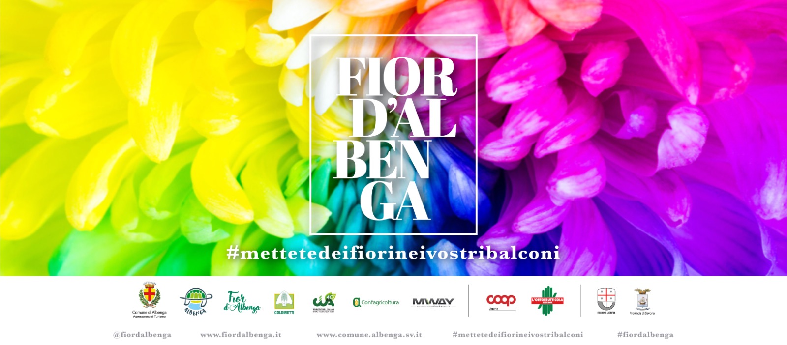 fior-albenga-dai-balconi-2