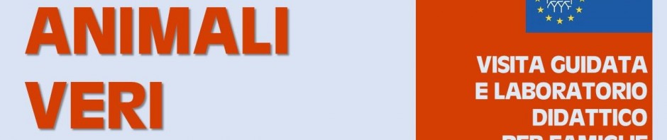 119648040_3337676132960233_1974953742635688158_o