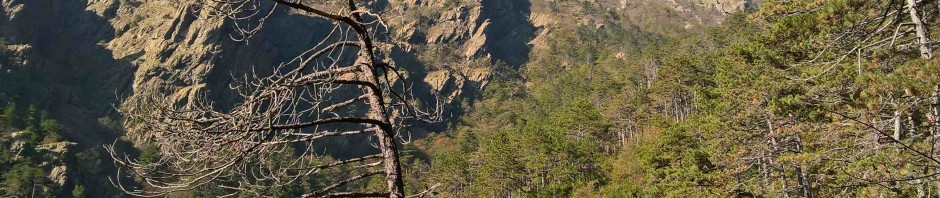 wp_20161028_11_30_25_pro_li