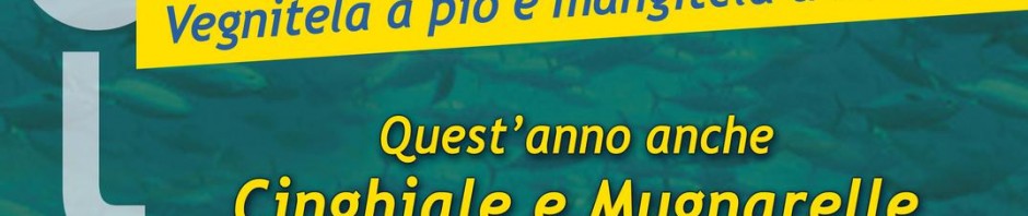 sagra-ventre