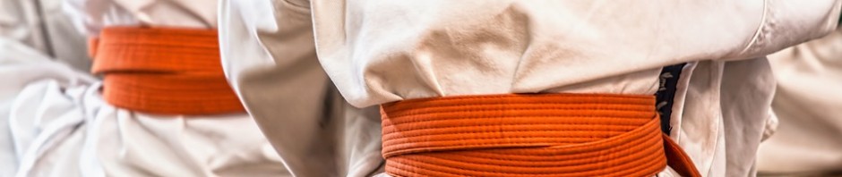 karate-1665606_960_720