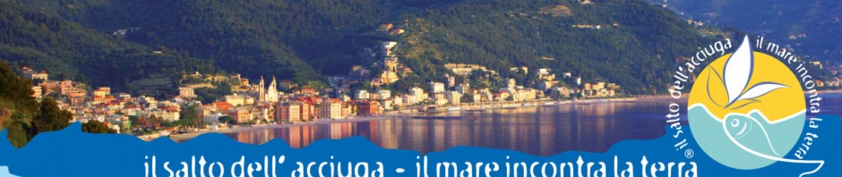 saltoacciuga10-1536x560