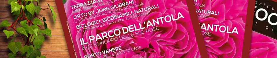 cover29