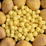 gnocchi-3190639_960_720 gnocchi-3190639_960_720