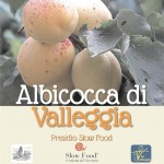 img-220618-quiliano-albicocca-di-valleggia-712x1024