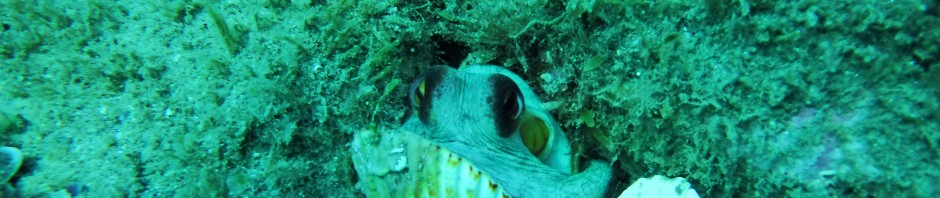 dscf1644