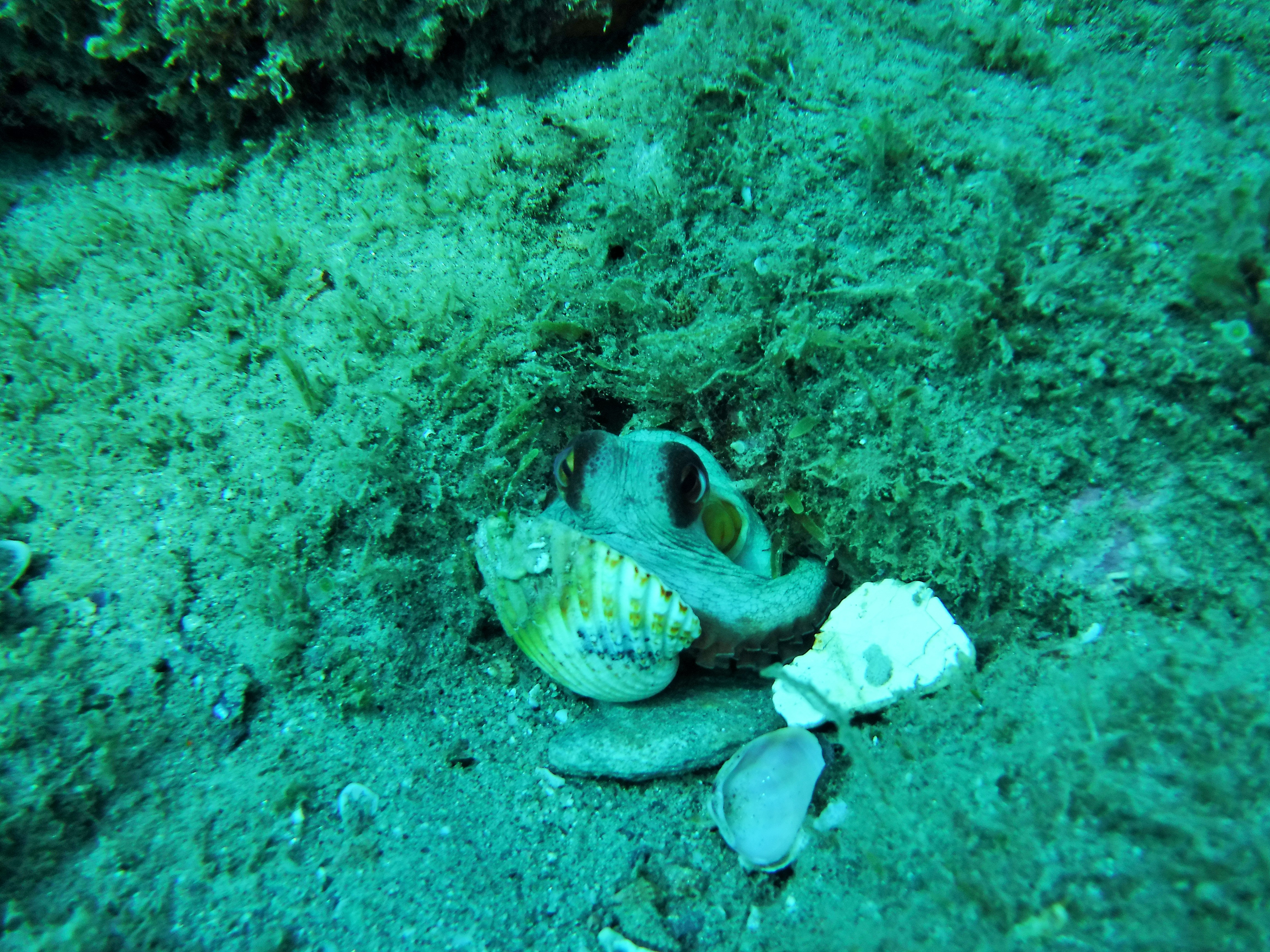 dscf1644