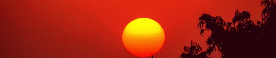 concerto-al-tramonto