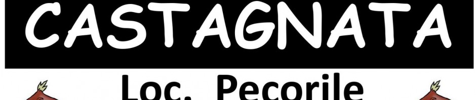 loc-castagnata-pecorile-provvisoria