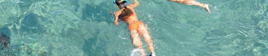 snorkeling-1551757_960_720