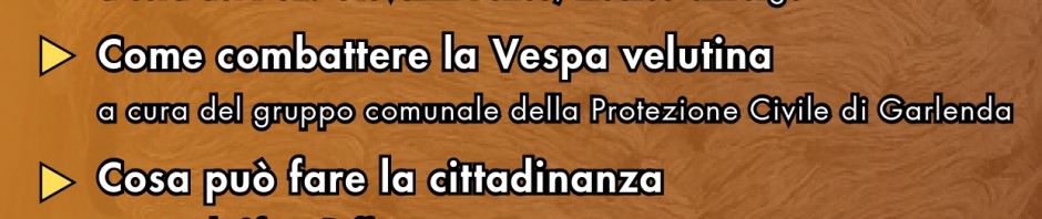locandina-convegno-vespa-velutina_page-0001