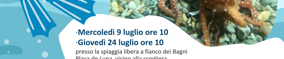 snorkeling-alla-scoperta-della-vita-sottacqua-2025