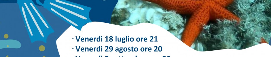 snorkeling-alla-scoperta-della-vita-sottacqua-di-notte-2025