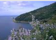 Immagine 20