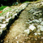 Immagine 3