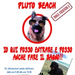 pluto-beach