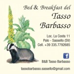 tasso-barbasso